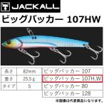 ジャッカル/JACKALL ビッグバッカー107H.W  サゴシ タチウオ ハマチ 青物  メタルジグ スタンダード BIGBACKER107H.W (メール便対応)