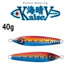 Pazdesig(パズデザイン) reed(リード) 海晴 (かいせい) 40g (爆買)