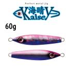 Pazdesig(パズデザイン) reed(リード) 海晴 (かいせい) 60g (爆買)