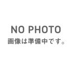 BRIDGESTONE 汎用 オンロードタイヤ 130/80-18 M/C 66V BT46 リア TL ブリヂストン